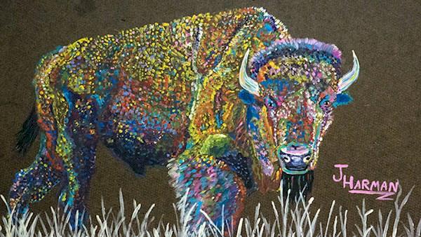 2015 NRA Youth Wildlife Art Contest Award Winner